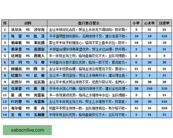 世界杯竞猜赛事盘口分析与投注技巧全面指南